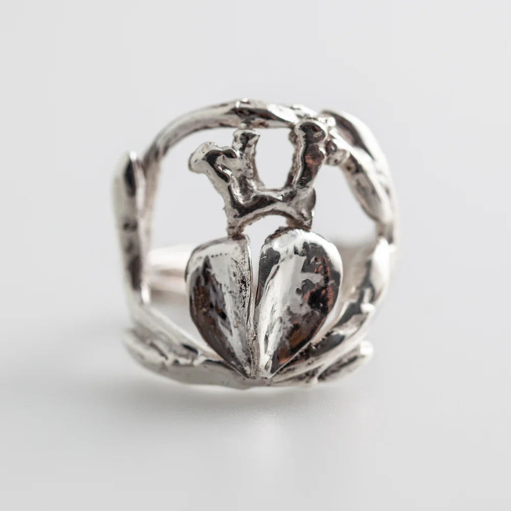 Claddagh Ring Inspired Beech Mast Coral and Buds,Ê Shop affordable, high-quality jewellery in Kinsale, West Cork, Ireland designed by Emilio Sotelo Jewelry