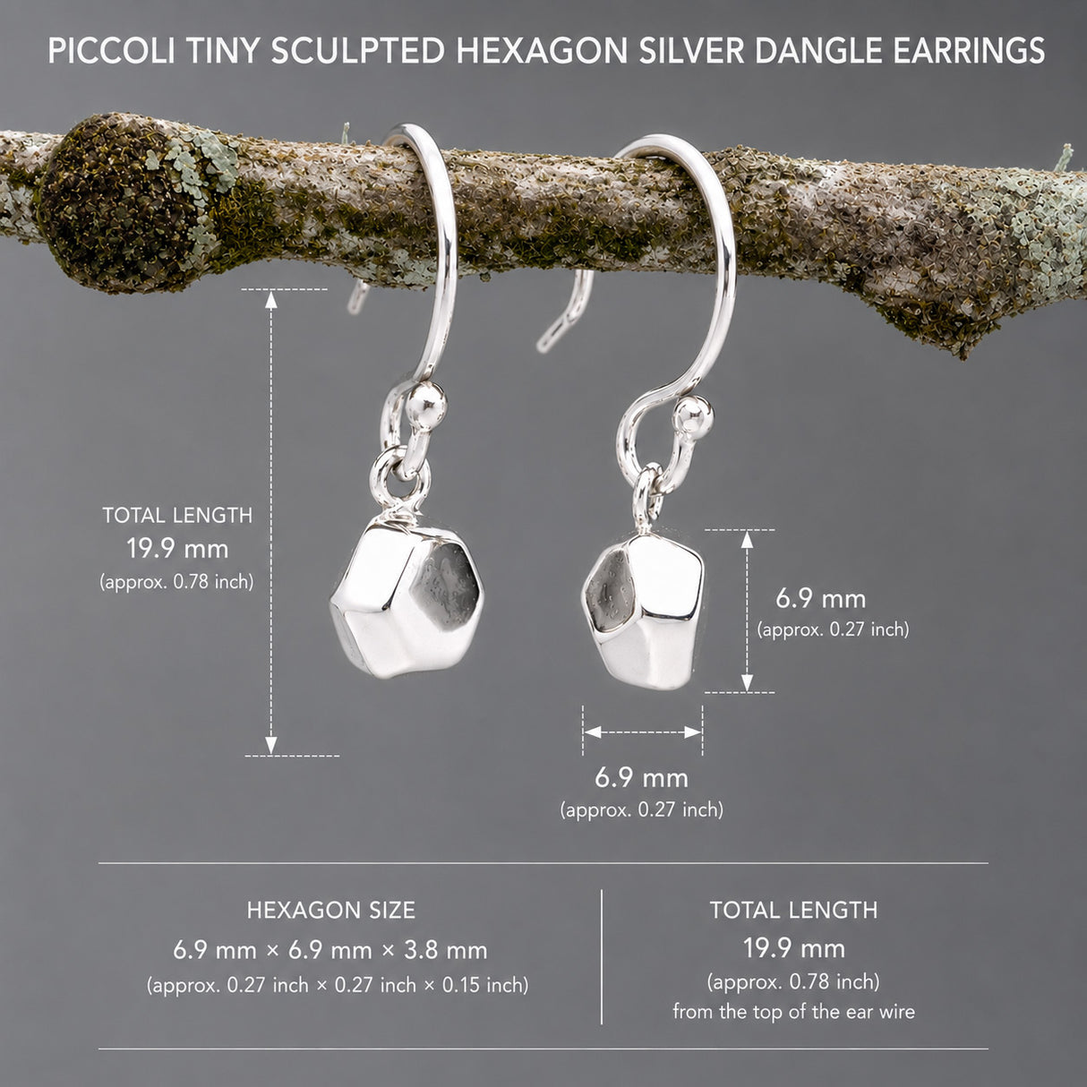 Piccoli Tiny Sculpted Hexagon Silver Dangle Earrings